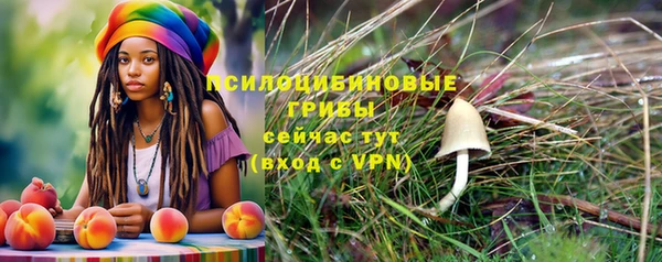 apvp Абаза