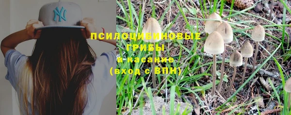 ECSTASY Абинск